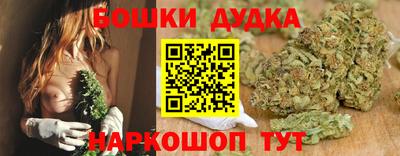 apvp Обь